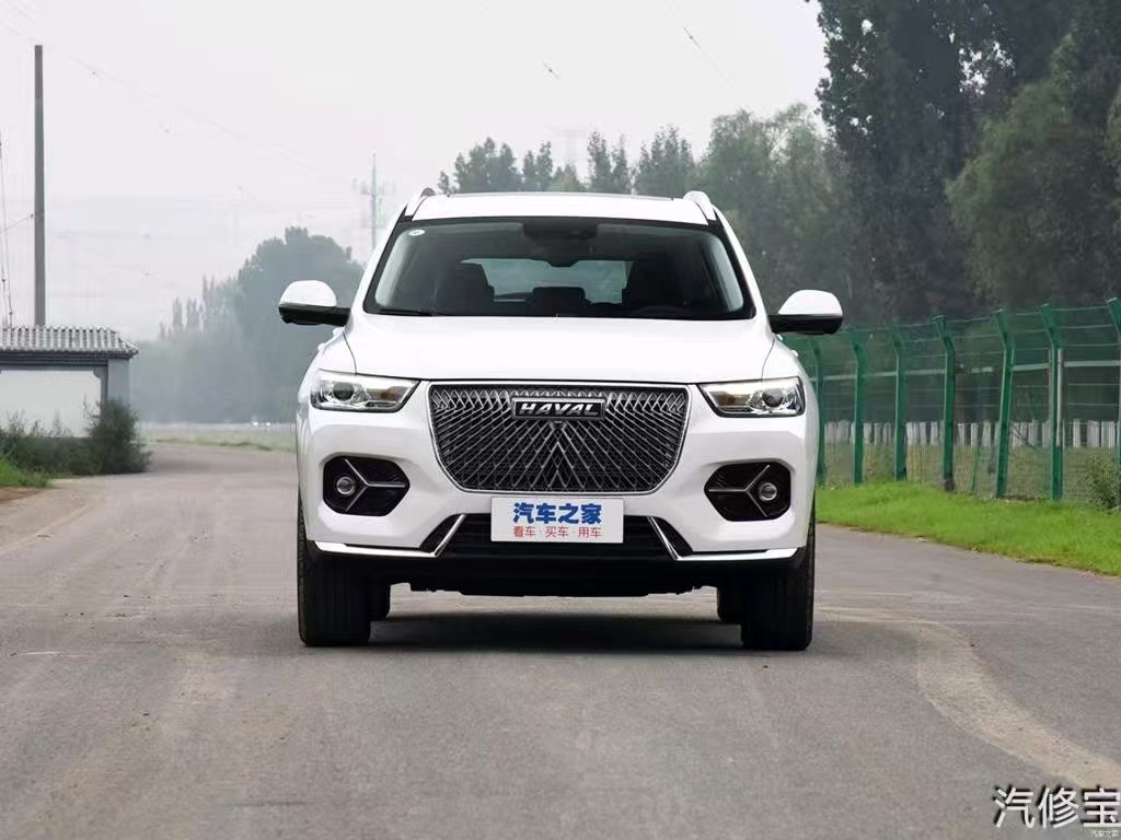 Harvard H6 2021 модель 2.0T автоматическая модель champion